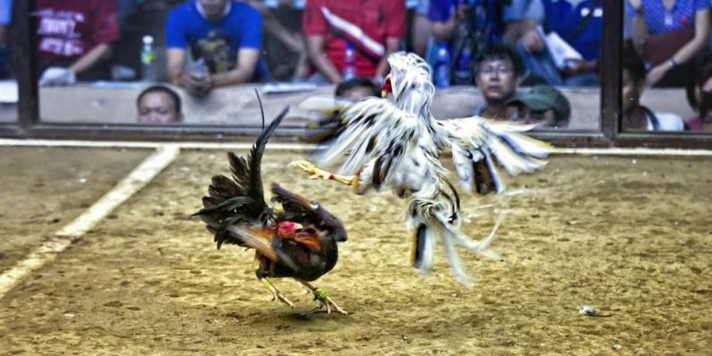 33win win ﻿đăng nhập lô đề uy tín