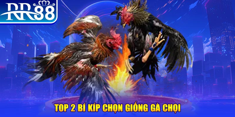 33win win bắn cá h5