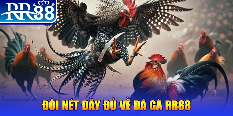 33win win gà chọi hoà phong