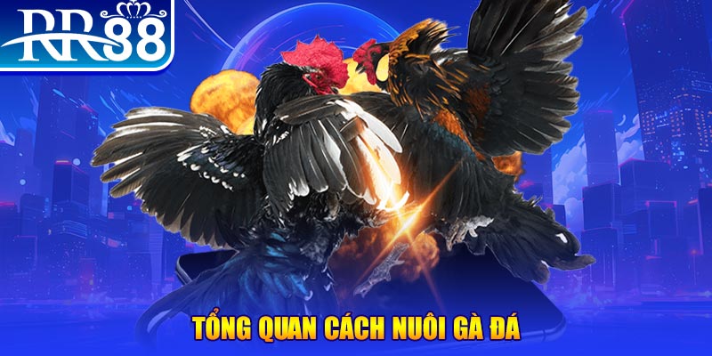 33win win xổ số thứ ba