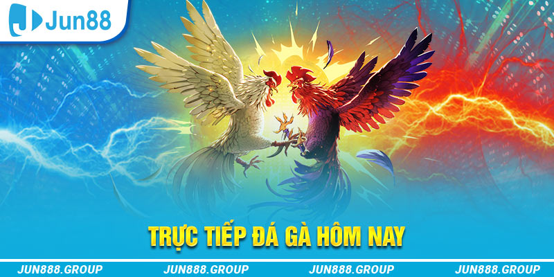 33win win trực tiếp đá gà thomo