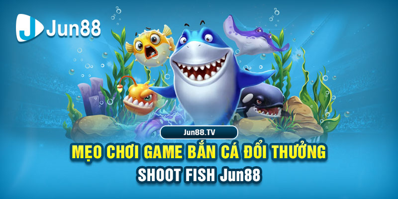 33win win tải game đánh bài online về máy tính