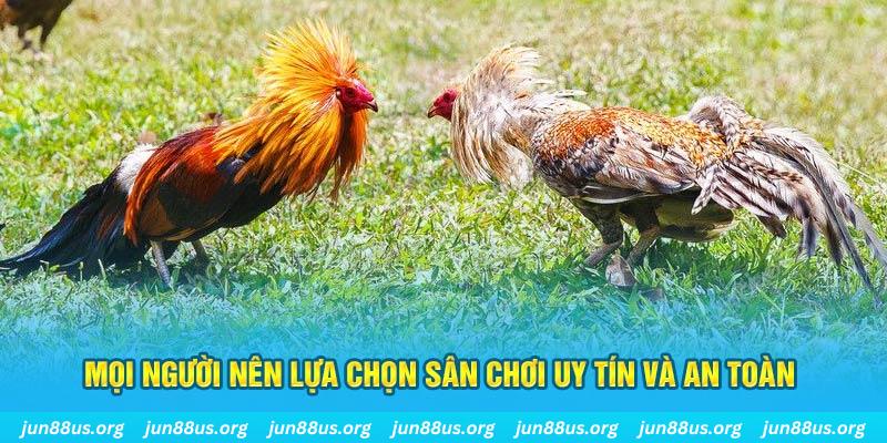 Tài Xỉu