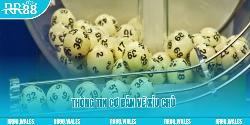 33win win xổ số đà nẵng