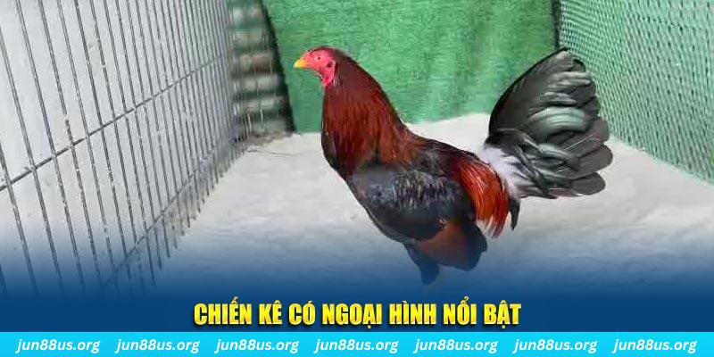 33win win nhạc slot là gì